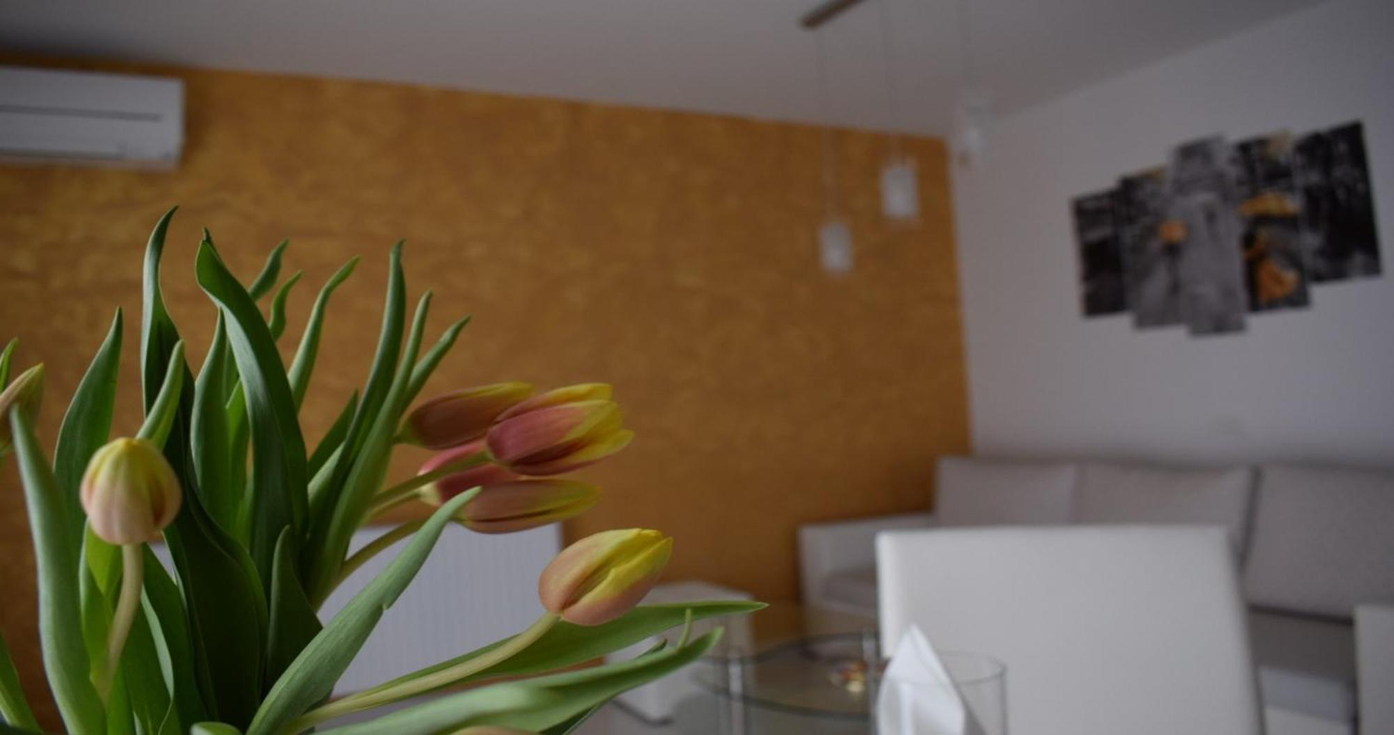 Apartmani Foresta Kras Exterior foto